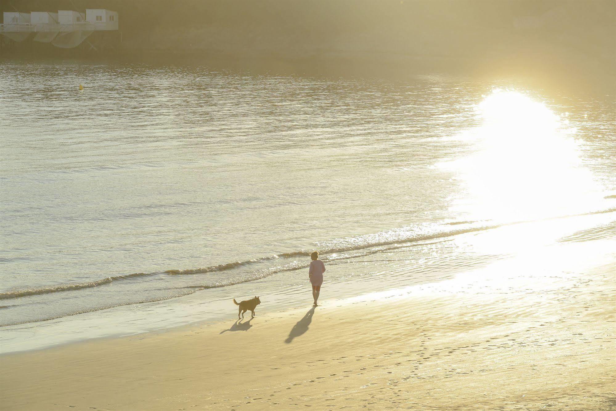 Cerise Royan - Le Grand Hotel De La Plage 外观 照片